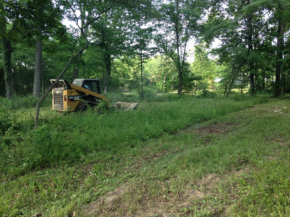 Lot has underbrush cleared