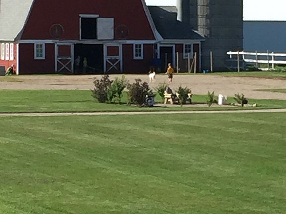 Barn- Summer 2017
