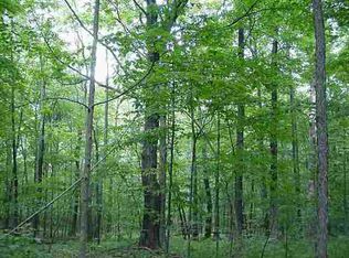 LOT 1 Scipio Rd, Spencerville, IN 46788