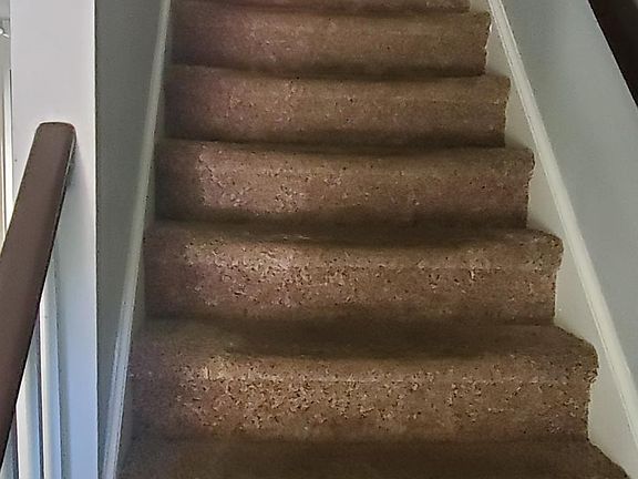 4th image of 245 Farrell Ln #245