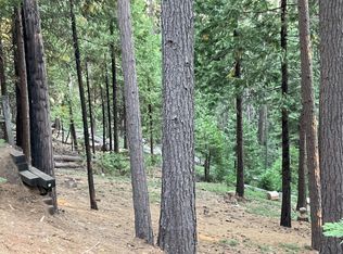 1914 Kit Carson Cir, Arnold, CA