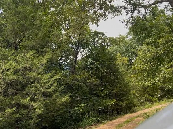 0 County Road 995 Dogwood Park 3 Lots 115 #116, Mountain Home, AR 72653