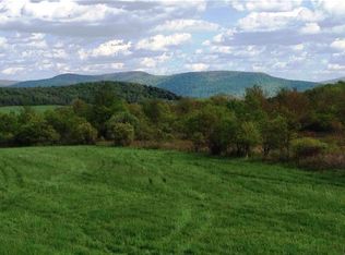 McMurdy Brook Rd, South Kortright, NY 13842