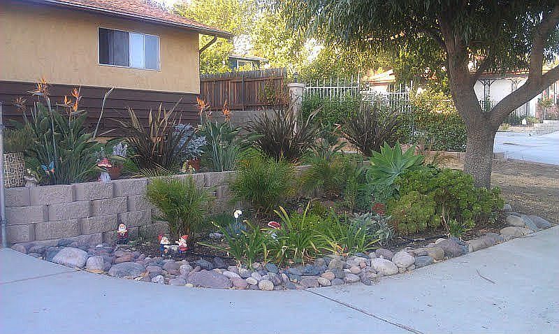 Front yard veiw of plants.