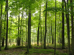 19 Acres On Forbes Rd, Athelstane, WI 54104