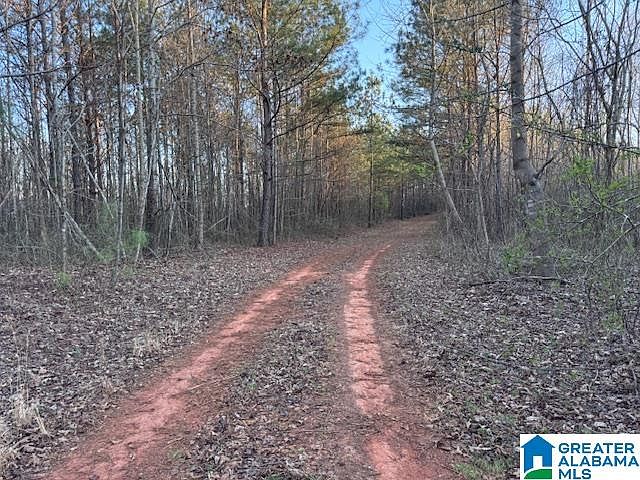 2nd image of 3586A County Road 26