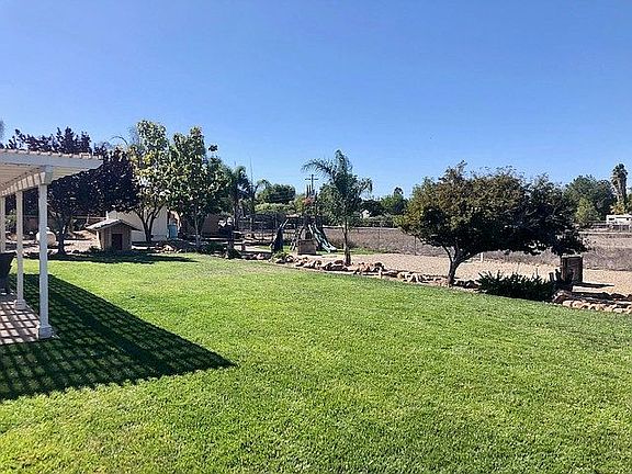 Back yard