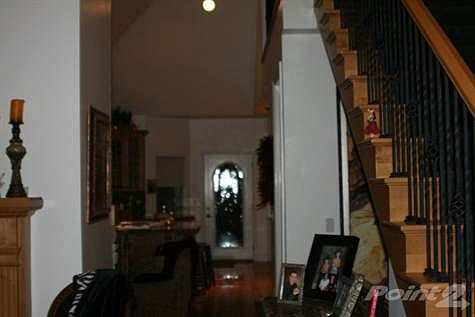 Picture 003