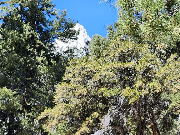 3rd image of 22 Whitney Portal Rd