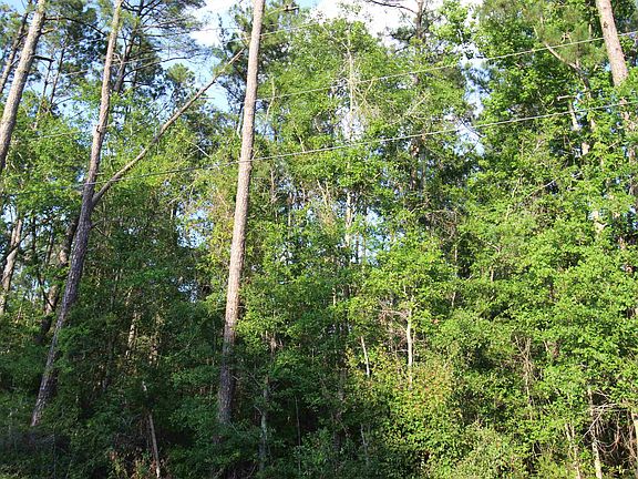 4th image of S Salt Rd