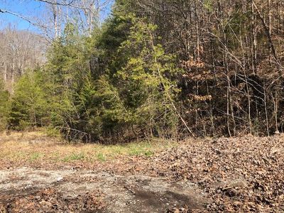 Dark Hollow Rd N, Andersonville, TN, 37705
