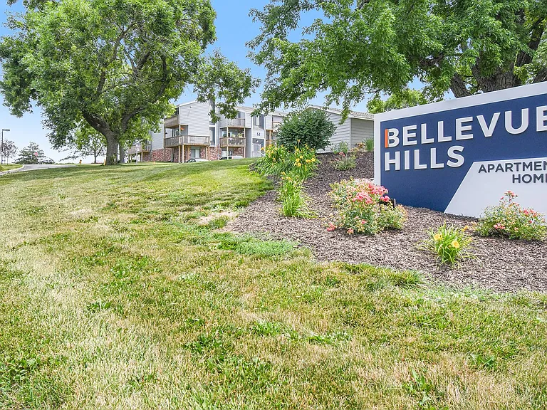 Bellevue Hills — Photo 11