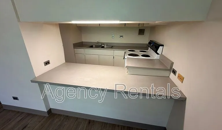 45 Aulike St #203 — Photo 2