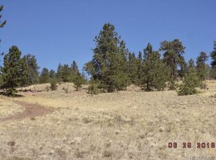 451 Pack Saddle Rd, Hartsel, CO 80449