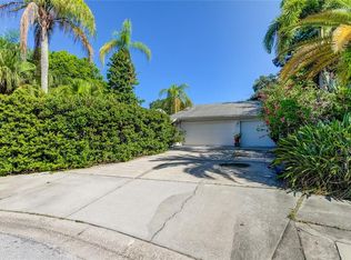 2898 Green Meadow Ct, Clearwater, FL 33761