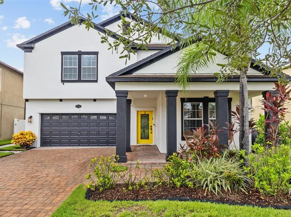 19428 Paddock View Dr, Tampa, FL 33647