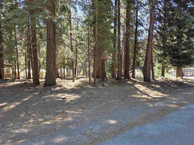 520 Ponderosa Way, Westwood, CA, 96137