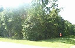 2nd image of 23954 Mossy Oaks Dr