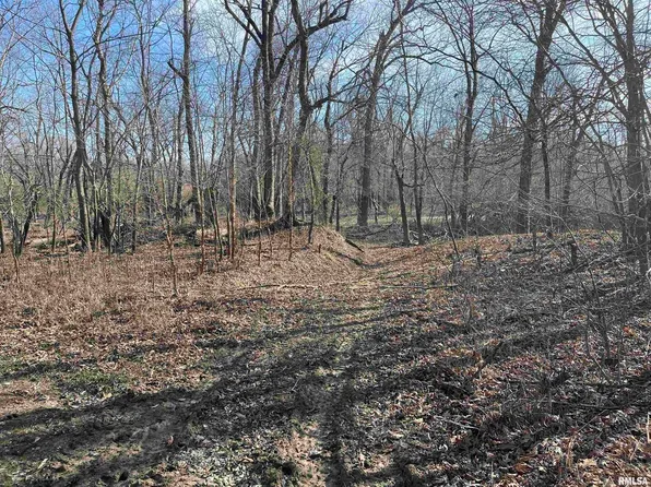2600 East Rd, Fairfield, IL 62837