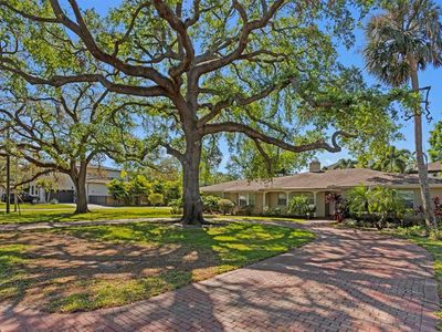 4302 W Woodmere Rd, Tampa, FL, 33609