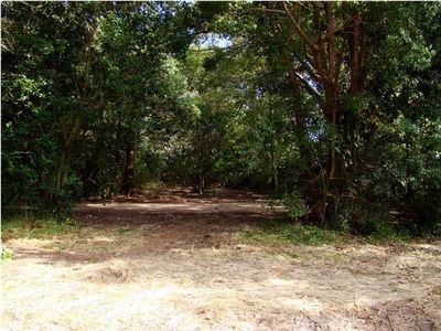 5550 Thomas Dr, Theodore, AL, 36582