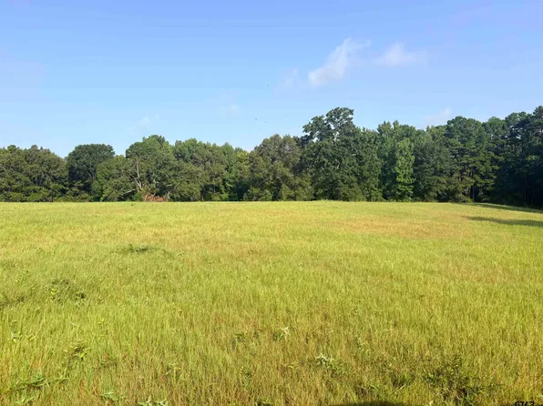 LOT 10 Fm 15 & County Road 2166, Troup, TX 75789