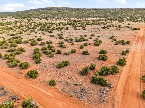 Lots 61 62 Elk Valley Ranch St, Saint Johns, AZ 85936
