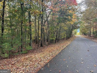 Township Road 1 Lori Ln, Blairsville, GA, 30512