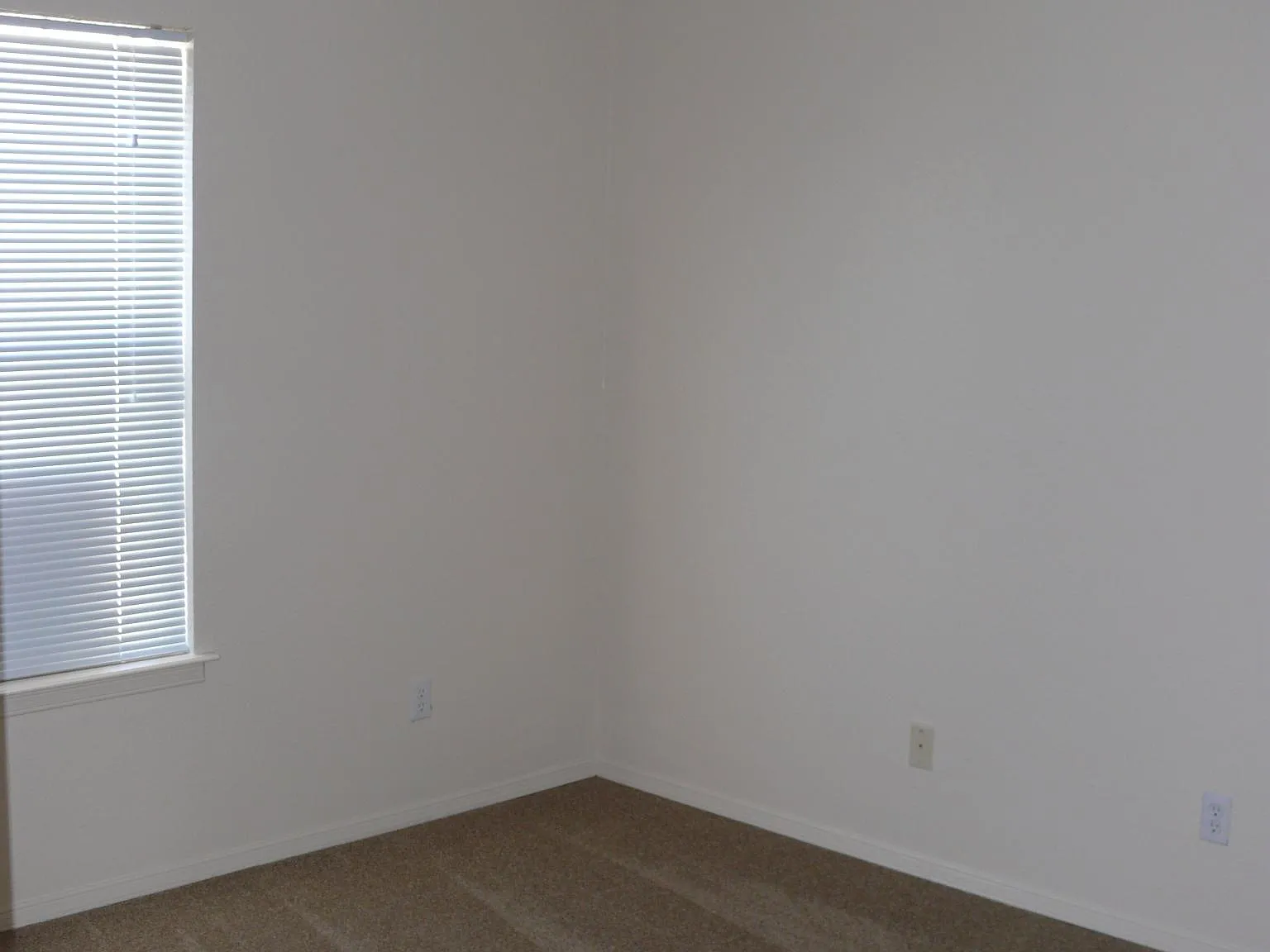 2 bed, 1.5 bath, 1200 sqft, $1,250 — Photo 4
