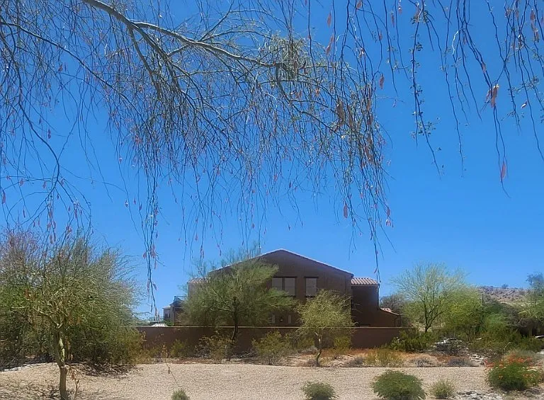 West view from common area