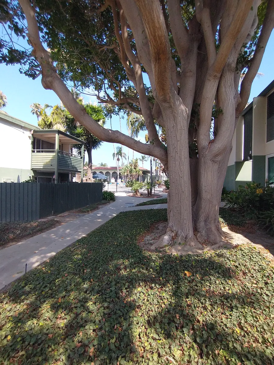 Photo 2 of 18 - 2305 Dean Dr #2305 - Ventura, CA Pool just a short walk away - 2305 Dean Dr #2305