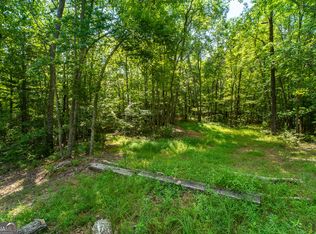 Township Road 1&2 Blue Arrow Ln, Mineral Bluff, GA 30559