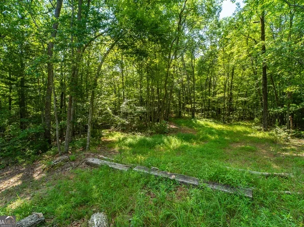 Township Road 1&2 Blue Arrow Ln, Mineral Bluff, GA 30559