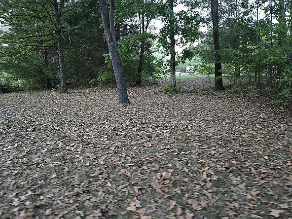 Back lots