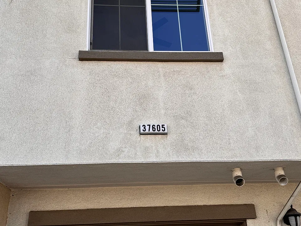 37605 Pimento Cmn