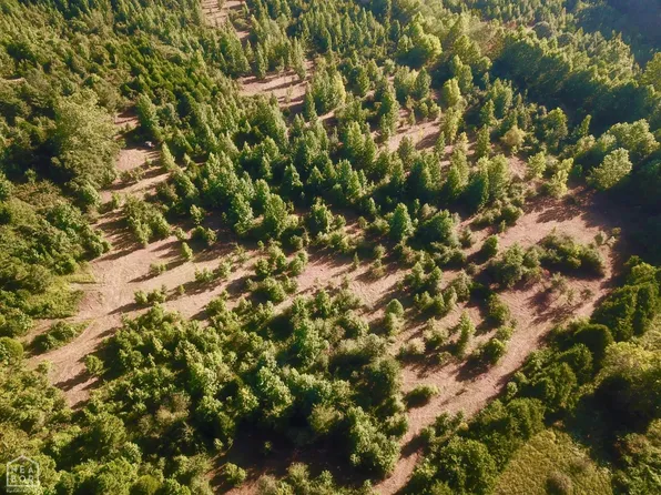 0 Greene 609 Rd #0, Paragould, AR 72450