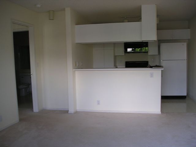 Living room & kitchen area