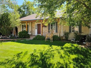 695 W Saddlemountain Rd, Colorado Springs, CO 80919