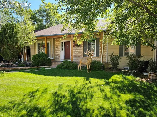 695 W Saddlemountain Rd, Colorado Springs, CO 80919