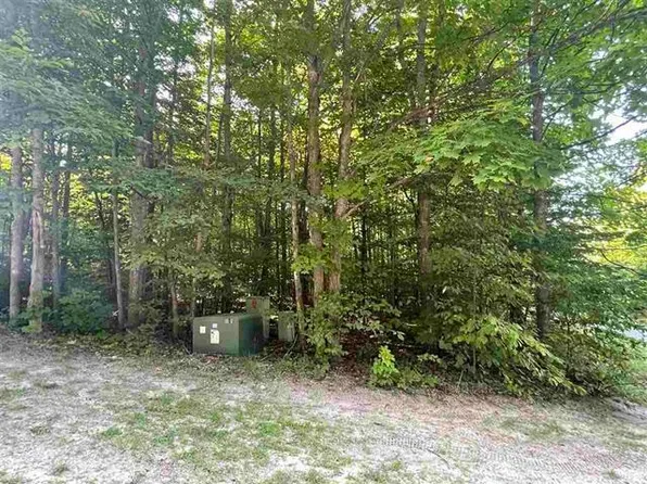 LOT 193 Double Eagle, Bellaire, MI 49615
