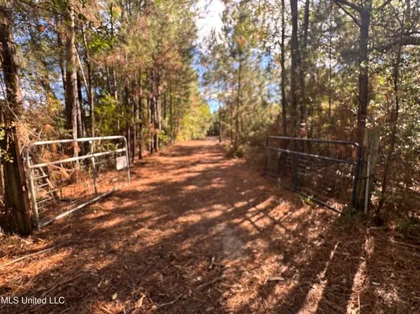 7190 Cantania Rd, Bay Saint Louis, MS 39520