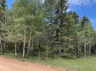 463 Anderson Rd, Florissant, CO 80816