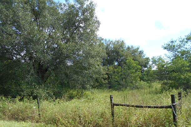 2nd image of 8404 23rd St