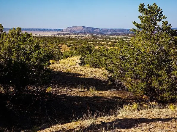 54 Southern Cres, Lamy, NM 87540