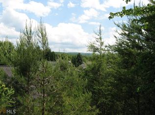 0 Blue Ridge Vlg #91, Blue Ridge, GA 30513
