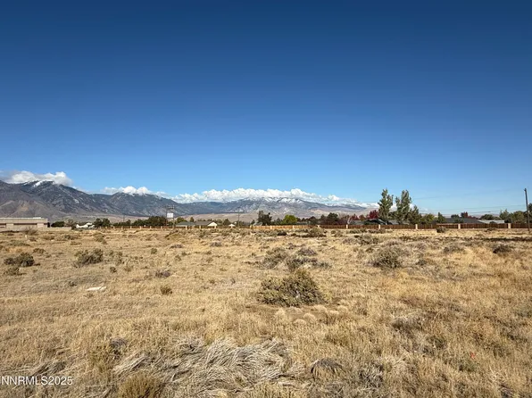 2588 Precision Dr, Minden, NV 89423