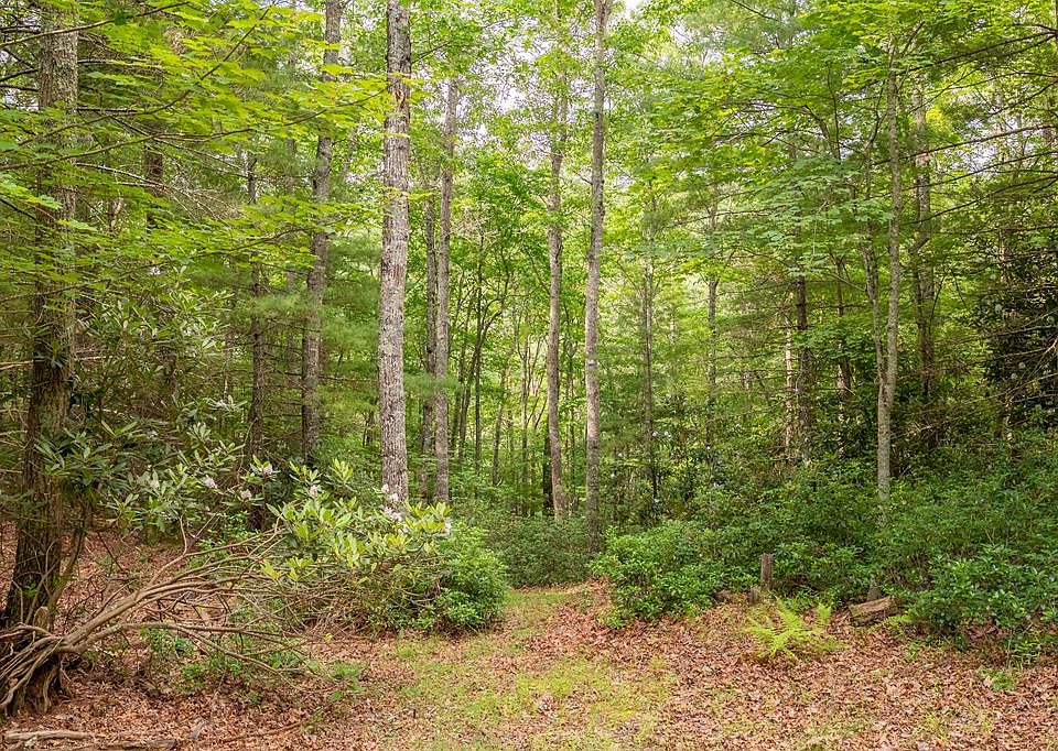 1st image of Forest Spur Ln