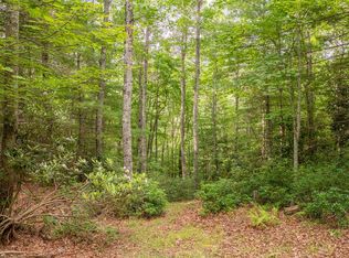 Forest Spur Ln, Bland, VA 24315