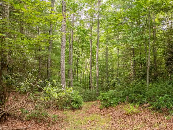 Forest Spur Ln, Bland, VA 24315