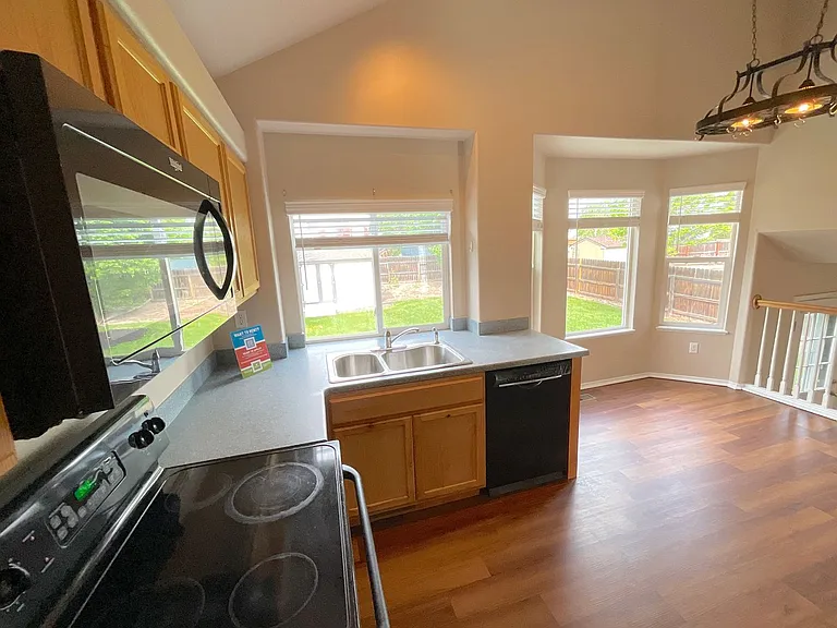 9180 Red Columbine Dr — Photo 11